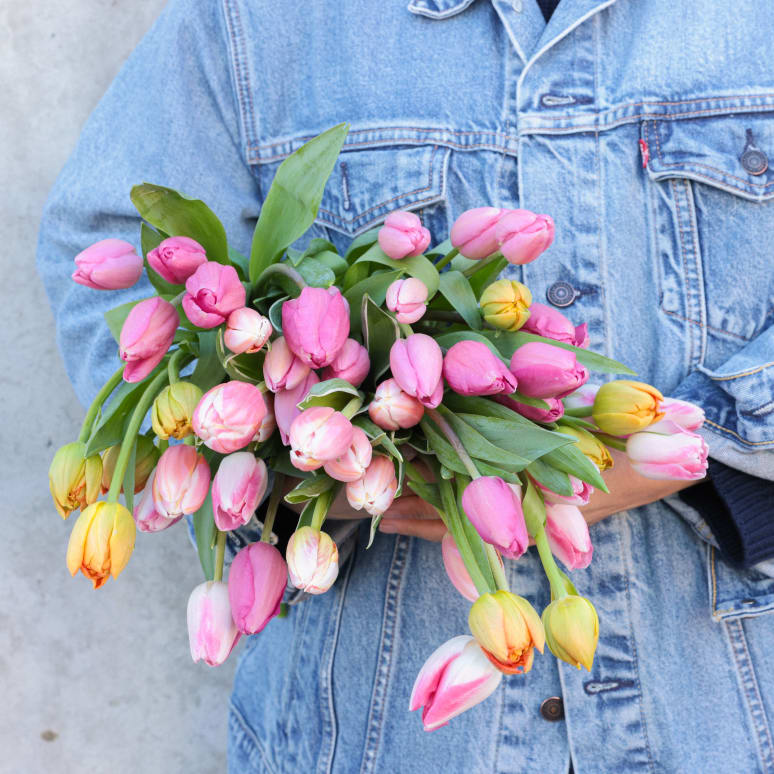Double Dutch: 50 Stems of Tulips!