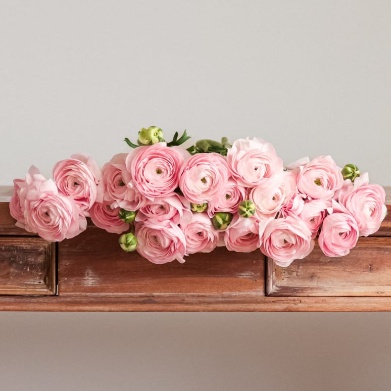Christina's Favorite Specialty Ranunculus!