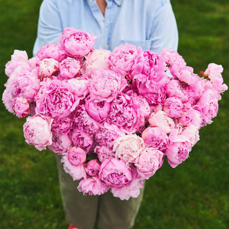 The Most Peonies!