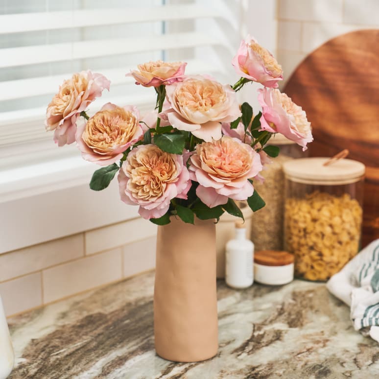 Christina's Favorite Garden Roses