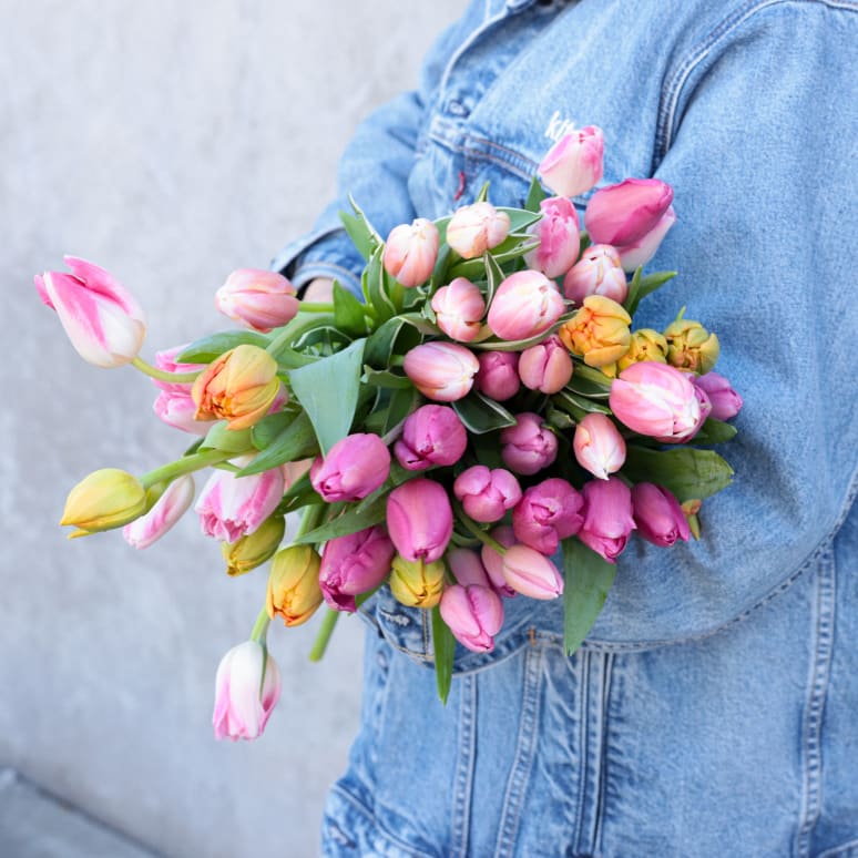 Double Dutch: 50 Stems of Tulips!