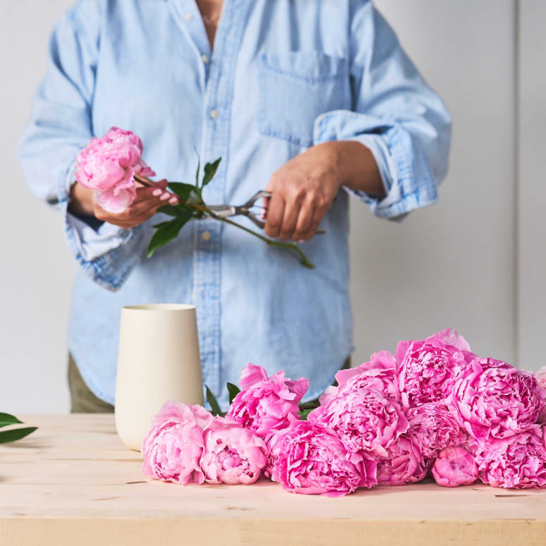 More Peonies!
