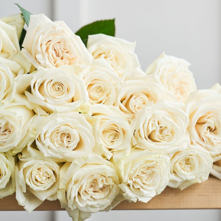 Blanc de Blanc