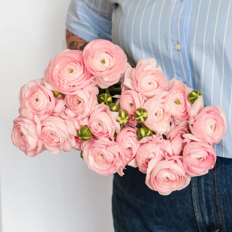 Christina's Favorite Specialty Ranunculus!
