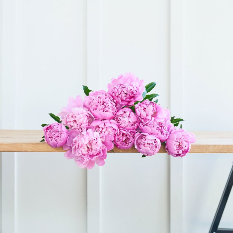 Peonies!