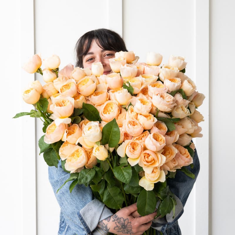 Big Box: Specialty Garden Roses