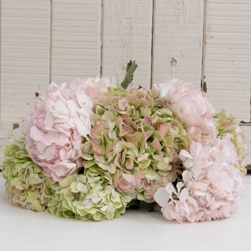 Garland - Pink Hydrangea and Wildflower Floral Everyday Gar