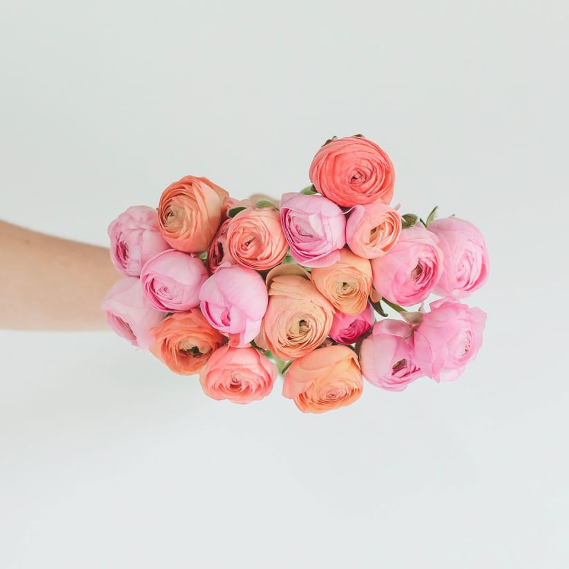 Valentine Lolli-Flowers