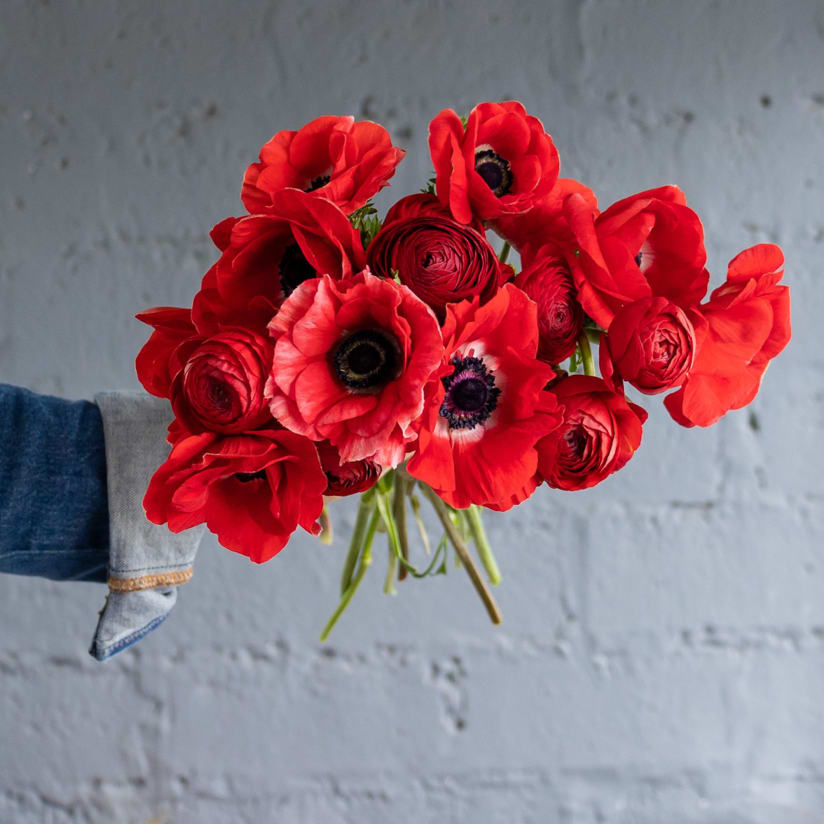 Shop Anemones Shop Ranunculus Farmgirl Flowers Delivery