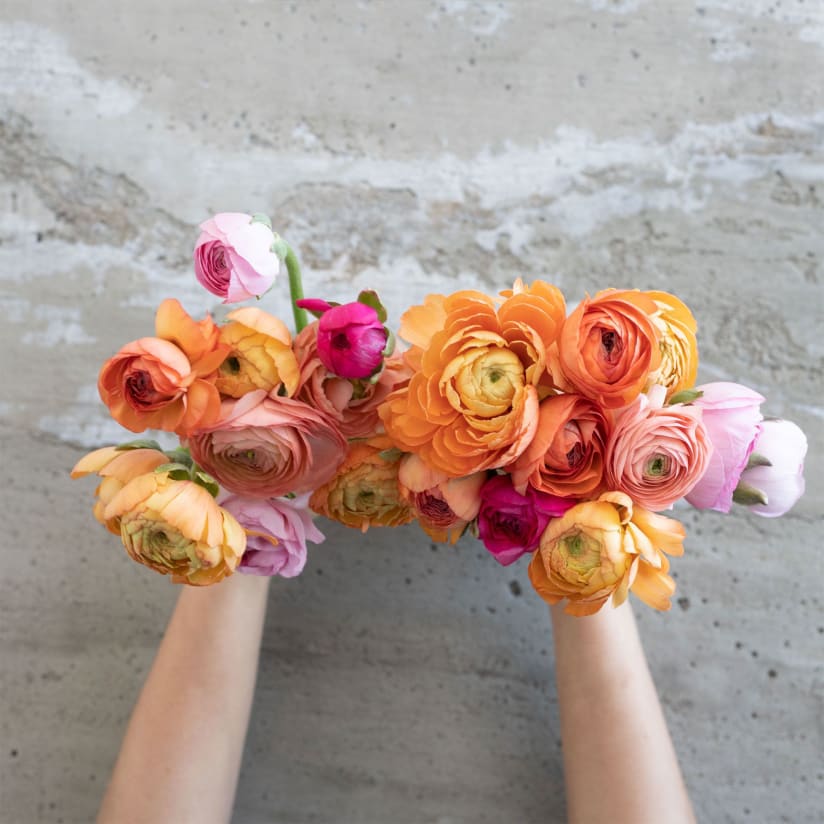 Edible Pressed Flowers — Framed Florals