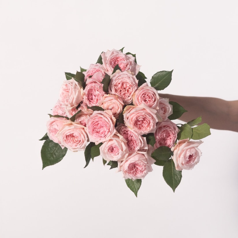 Send Garden Roses Bouquet | Fresh Roses | Flower Delivery