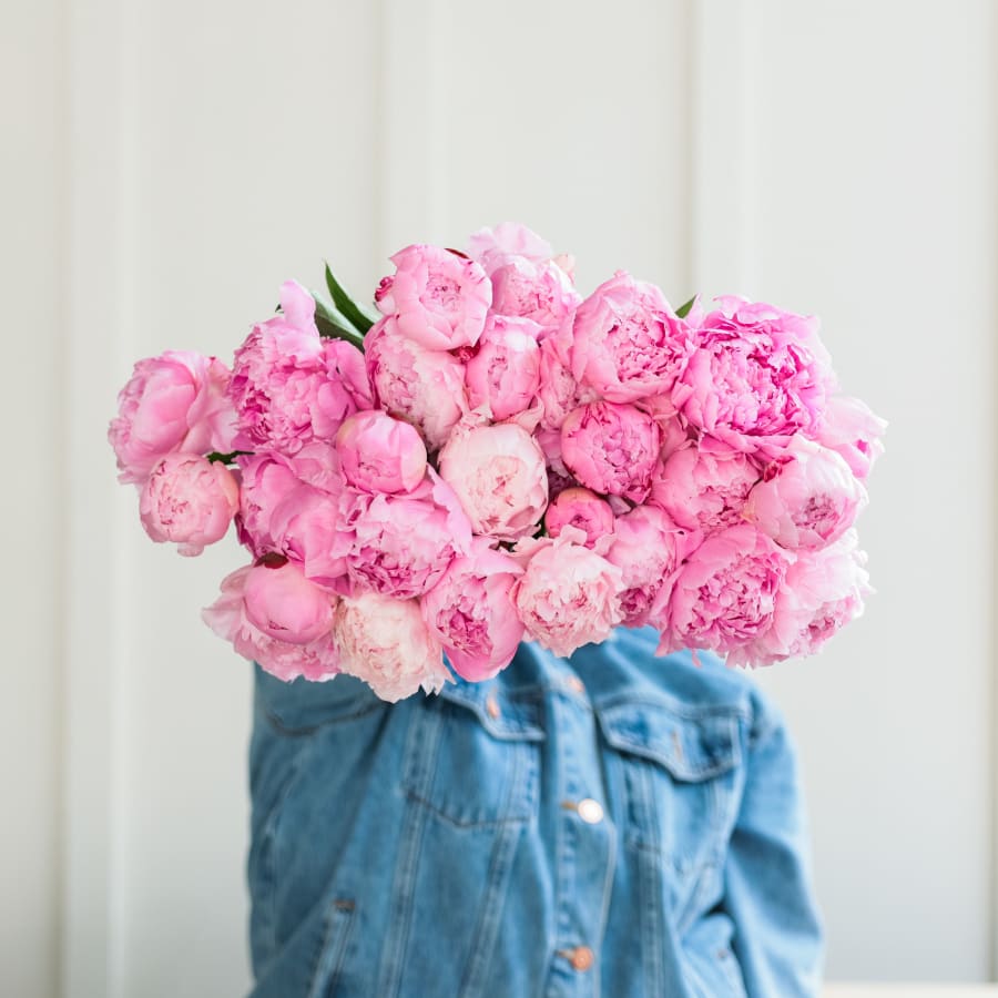 More Peonies!