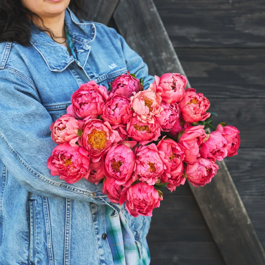 Peonies, Pretty Please!