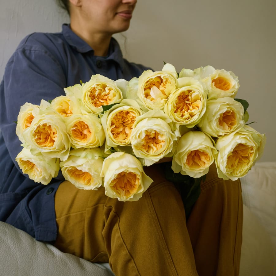 Antonia Gardens Roses!