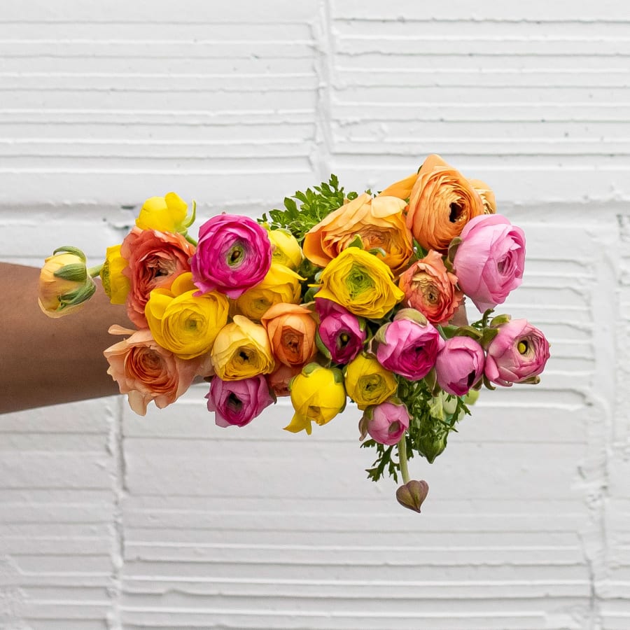 Mystery Box: 25 CA-Grown Ranunculus!
