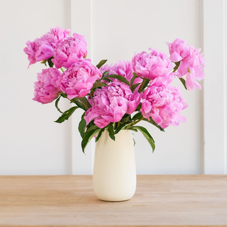 Perfect Ten: A Vaseful of Peonies!