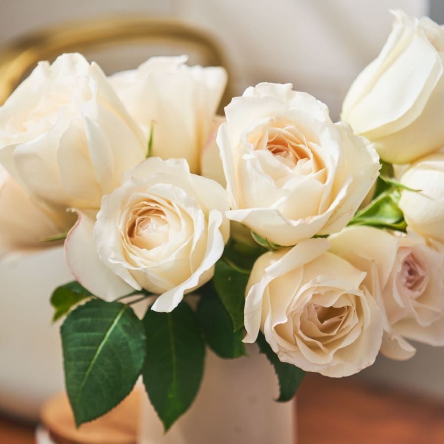 Grower's Choice Garden Roses!
