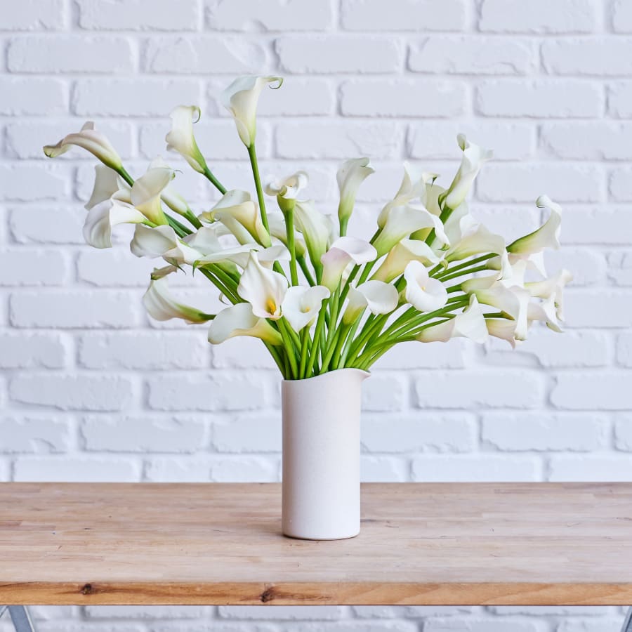 More White Callas