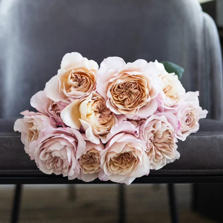 Christina's Favorite Garden Roses
