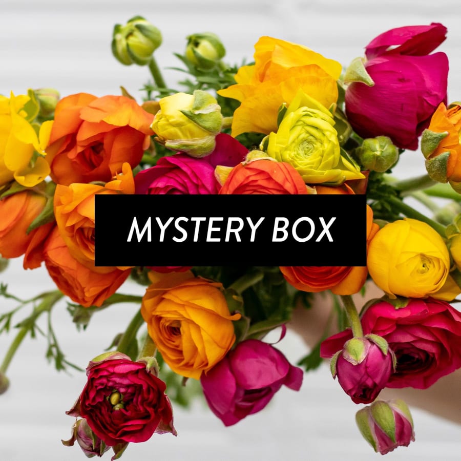 Mystery Box: 25 CA-Grown Ranunculus!