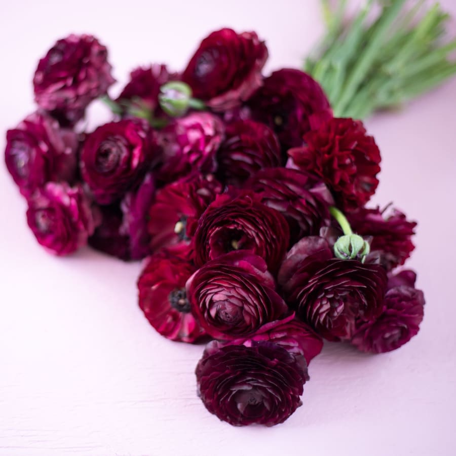 Mystery Box: 40 CA-Grown Ranunculus!