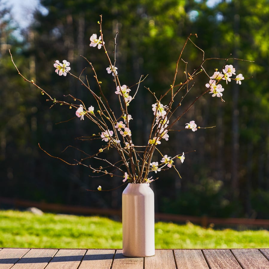 Quince Charming
