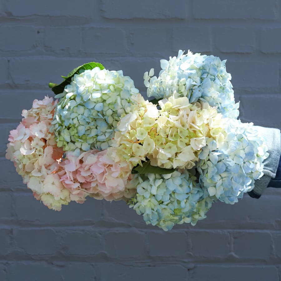 Online Flower Delivery Free Shipping Farmgirl Flowers