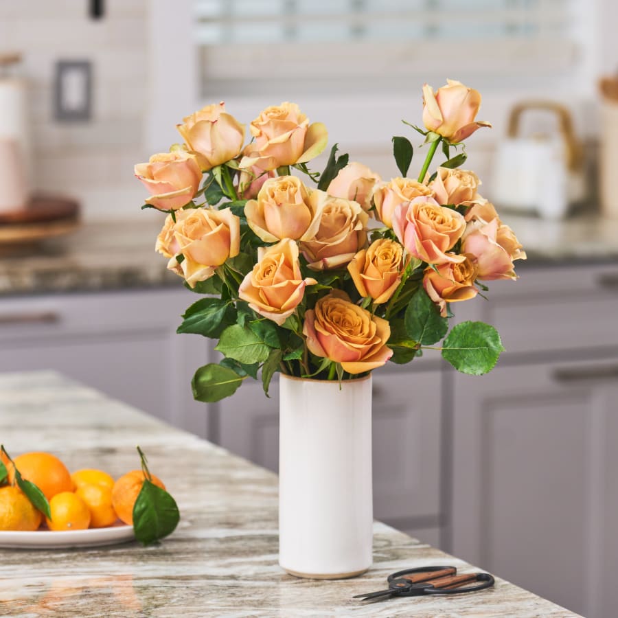 Grower's Choice Garden Roses x 2!