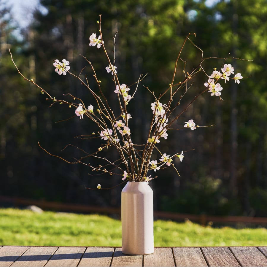 Side of Branch
