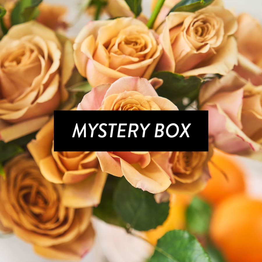 Mystery Box: Garden Roses x 2!