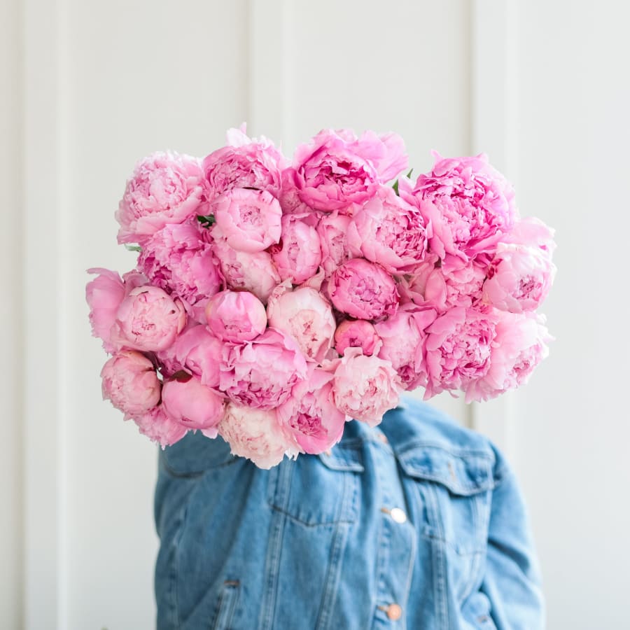 Even More Peonies!
