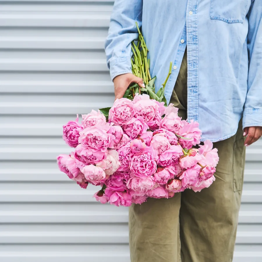 Peonies, Please and Thank You!