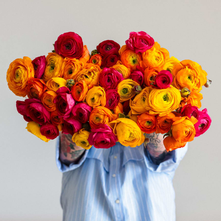 Grower's Choice Ranunculus x3!