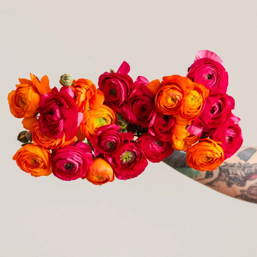 Grower's Choice Ranunculus!