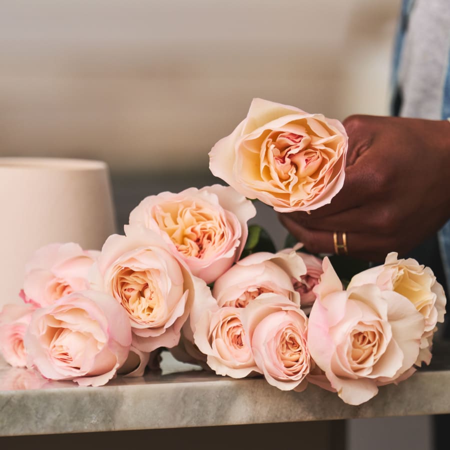 Grower's Choice Specialty Garden Roses!