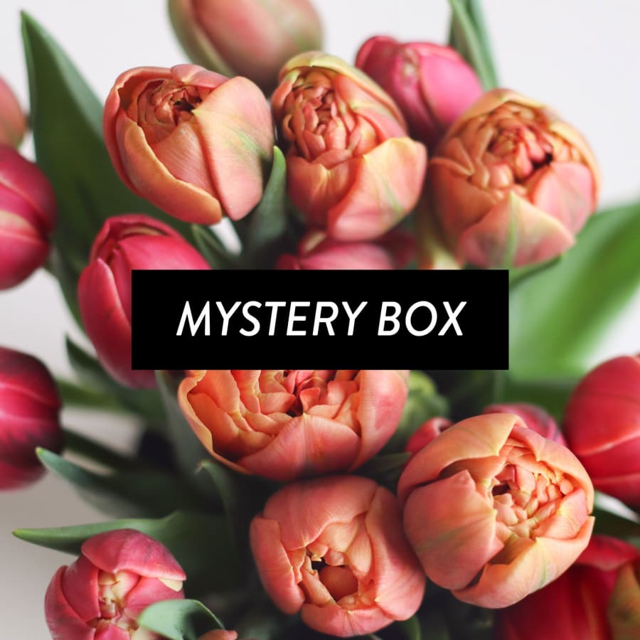 Mystery Box: 30 Tulips!