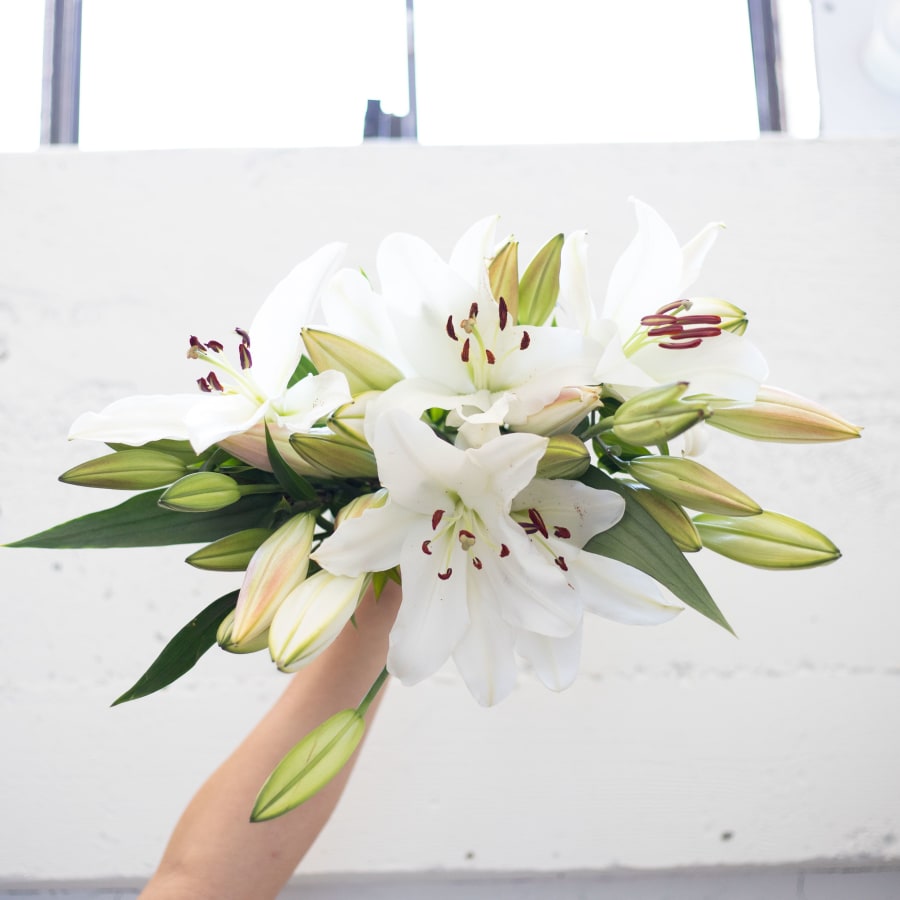 Send Flowers Online Next Day Delivery