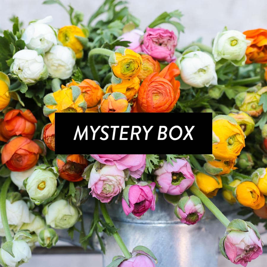 Mystery Box: 60 CA-Grown Ranunculus!