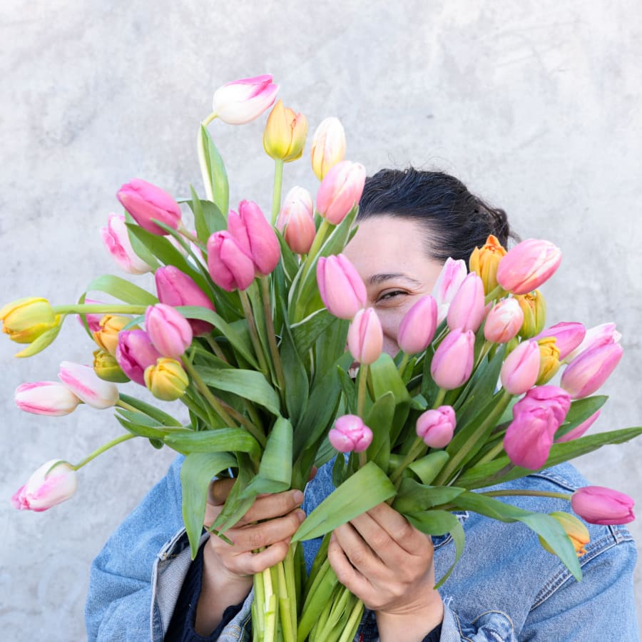 Double Dutch: 50 Stems of Tulips!