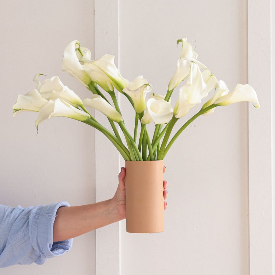 White Callas