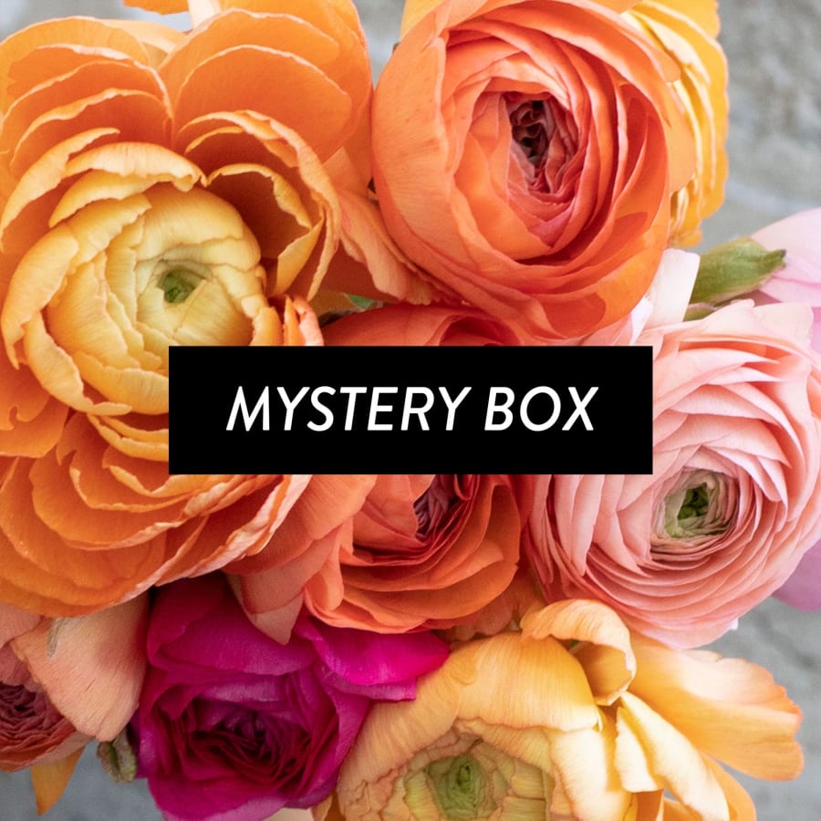 Mystery Box: 40 CA-Grown Ranunculus!