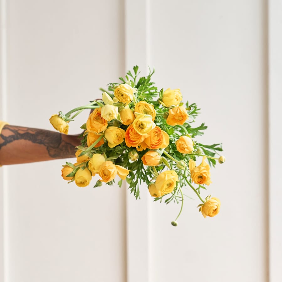 Mystery Box: 25 CA-Grown Ranunculus!