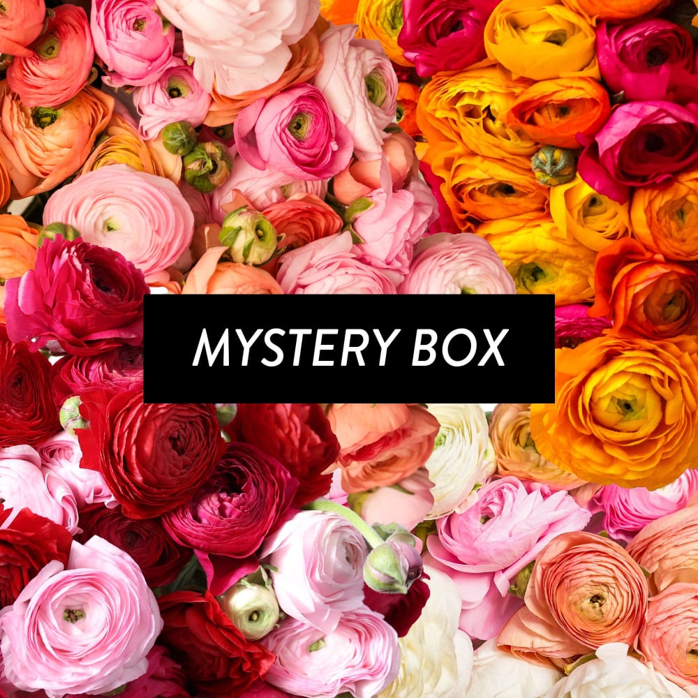 Assorted Ranunculus | Fresh Flower Bouquet | Online Delivery