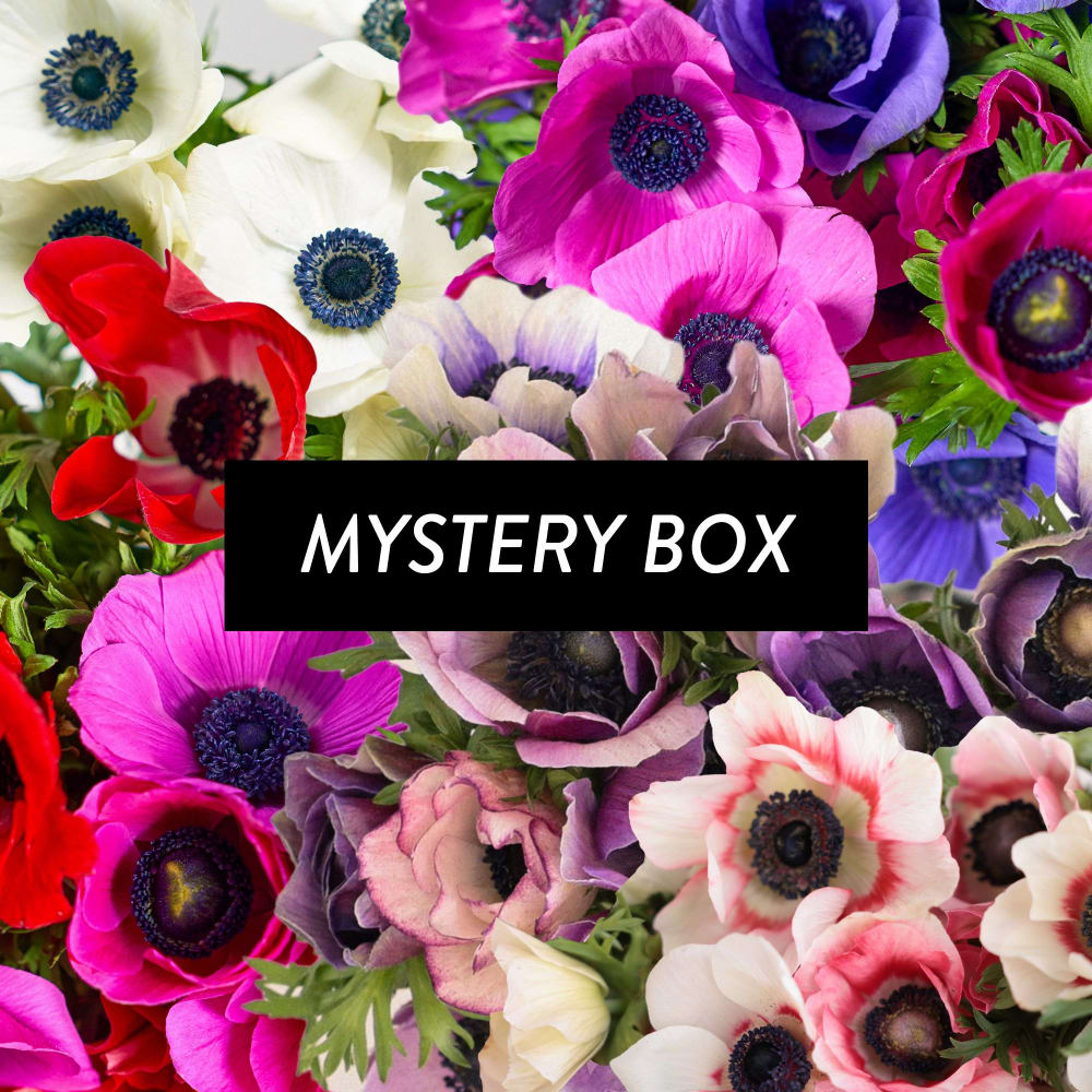 Fresh Anemones | Stunning Flower Bouquet | Fast Delivery