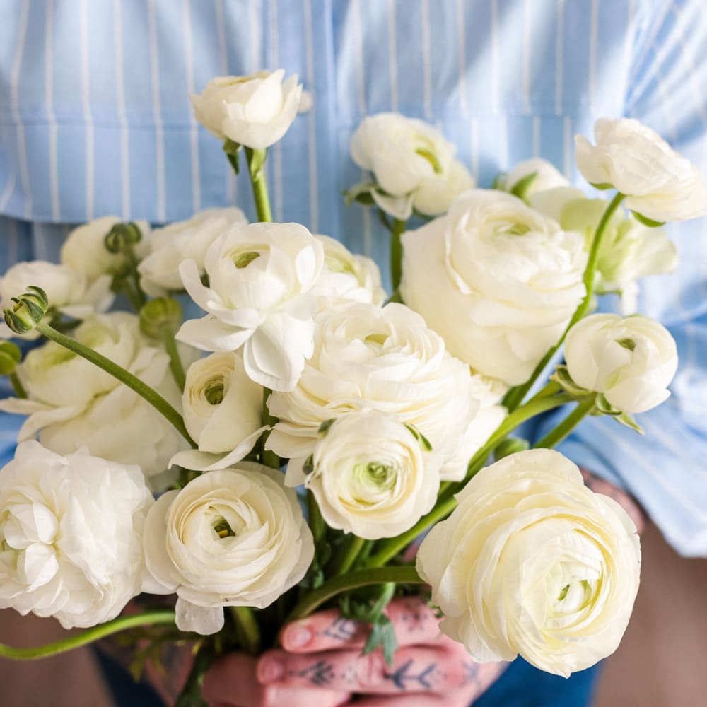 Assorted Ranunculus | Fresh Flower Bouquet | Online Delivery