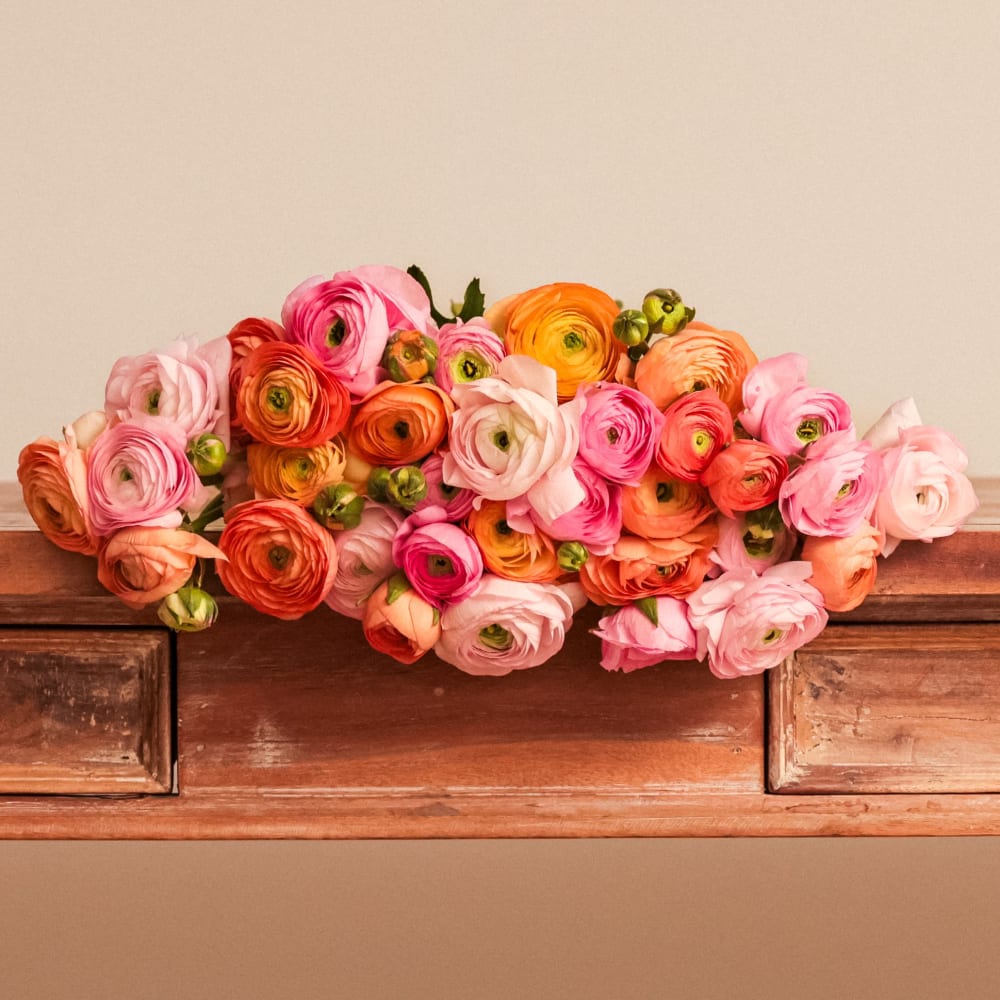 Assorted Ranunculus | Fresh Flower Bouquet | Online Delivery