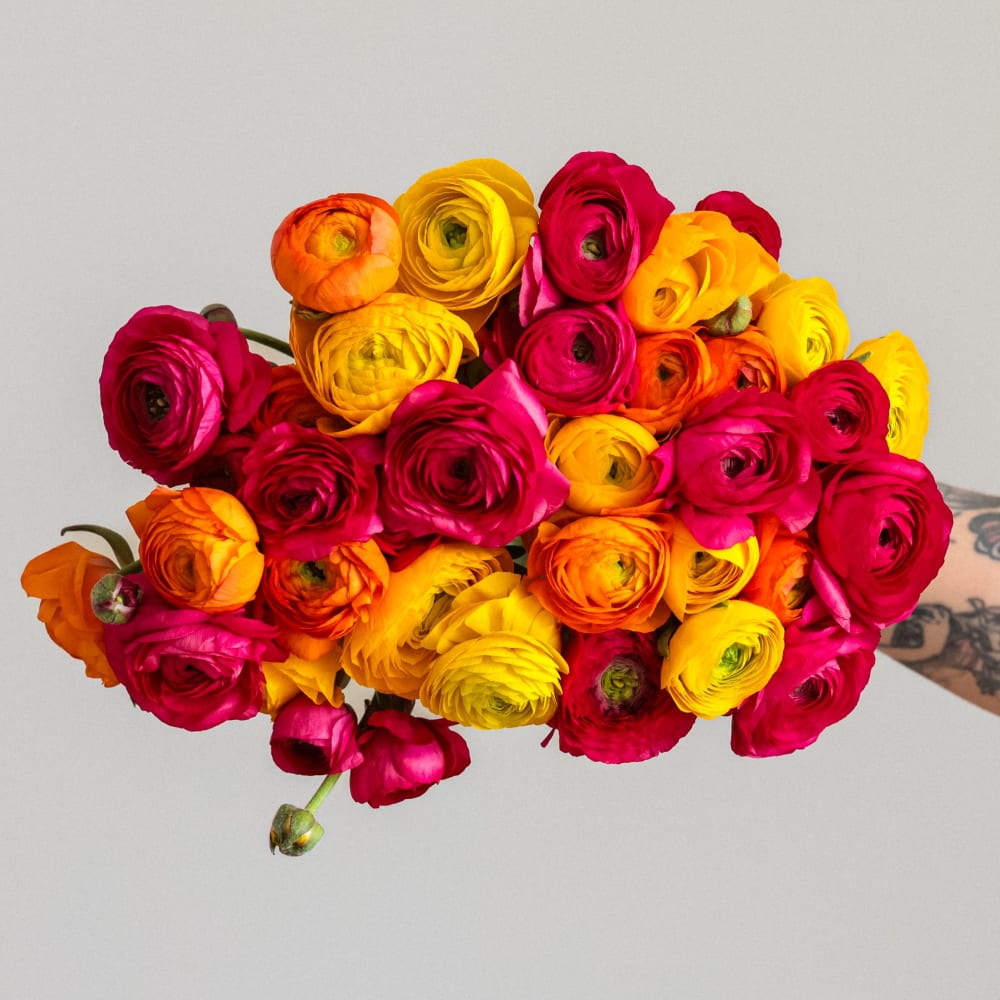 Assorted Ranunculus | Fresh Flower Bouquet | Online Delivery