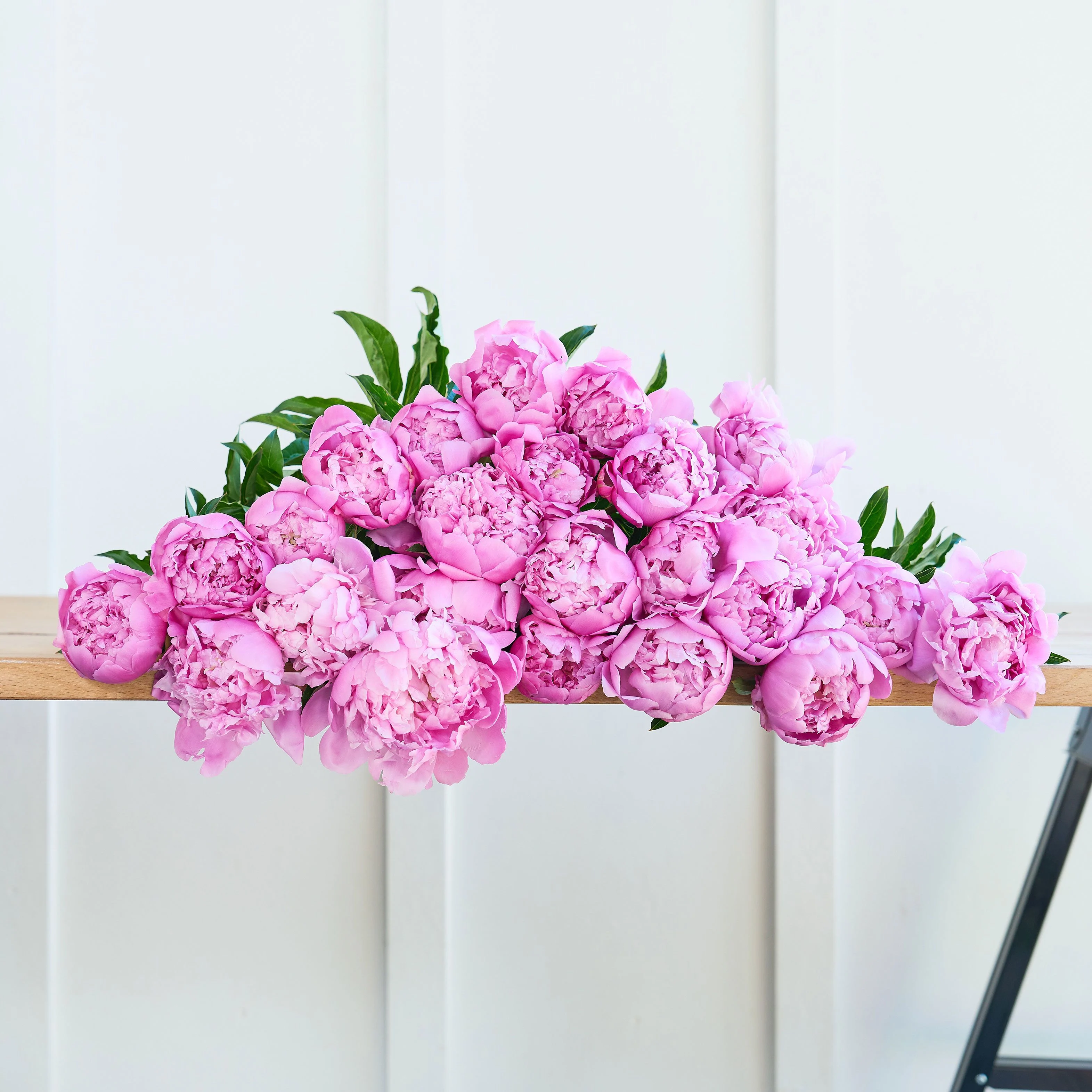 More Peonies!