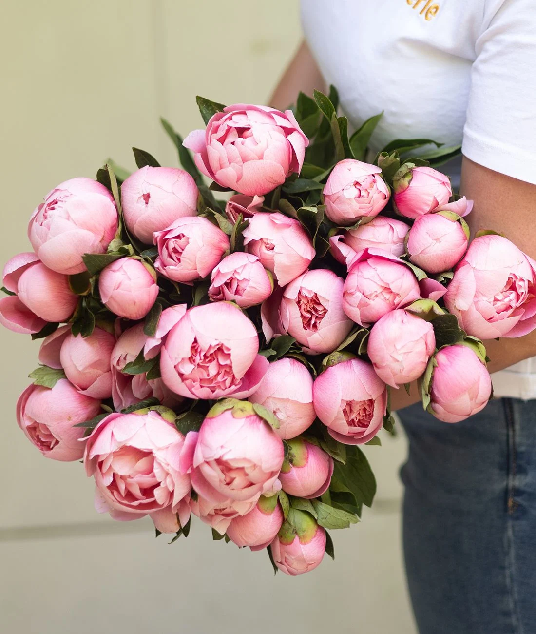 How To Take Care Of Your Favorite Flowers, Peonies!