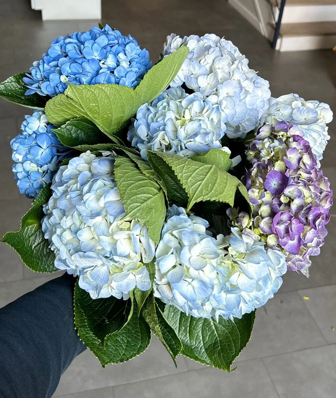 We Tested Three Ways To Keep Hydrangeas From Wilting... Here’s What Happened!